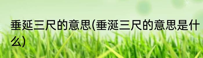 垂延三尺的意思(垂涎三尺的意思是什么)