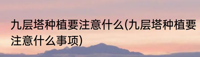 九层塔种植要注意什么(九层塔种植要注意什么事项)