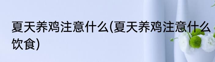 夏天养鸡注意什么(夏天养鸡注意什么饮食)