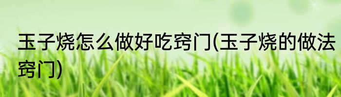 玉子烧怎么做好吃窍门(玉子烧的做法窍门)