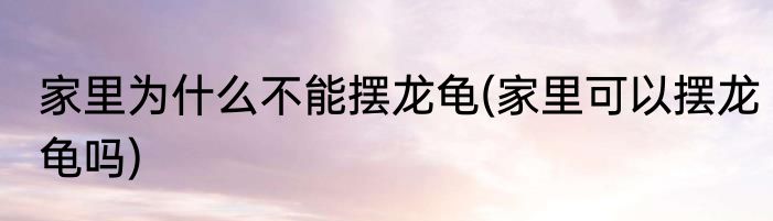 家里为什么不能摆龙龟(家里可以摆龙龟吗)