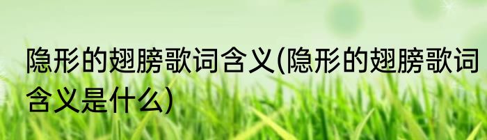 隐形的翅膀歌词含义(隐形的翅膀歌词含义是什么)