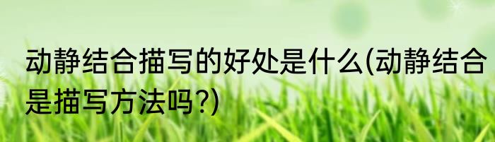 动静结合描写的好处是什么(动静结合是描写方法吗?)