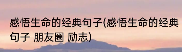 感悟生命的经典句子(感悟生命的经典句子 朋友圈 励志)