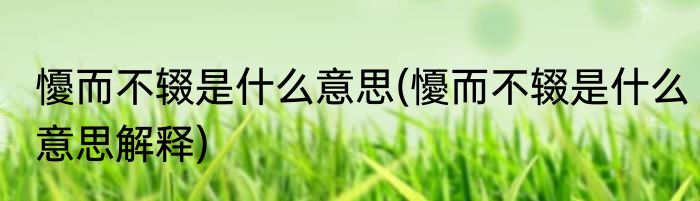 懮而不辍是什么意思(懮而不辍是什么意思解释)