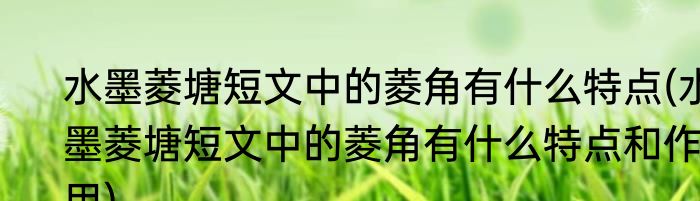 水墨菱塘短文中的菱角有什么特点(水墨菱塘短文中的菱角有什么特点和作用)