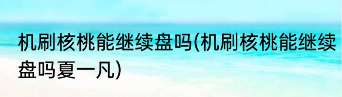机刷核桃能继续盘吗(机刷核桃能继续盘吗夏一凡)