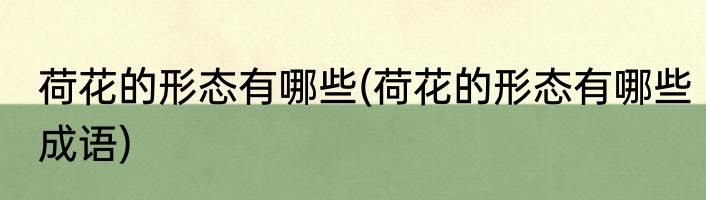 荷花的形态有哪些(荷花的形态有哪些成语)