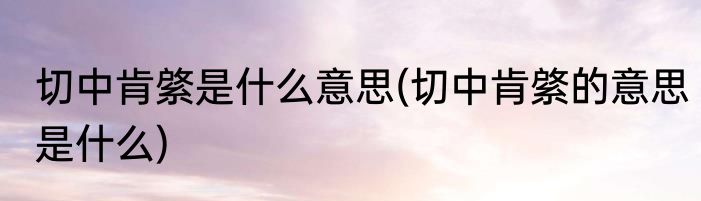 切中肯綮是什么意思(切中肯綮的意思是什么)