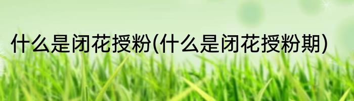 什么是闭花授粉(什么是闭花授粉期)