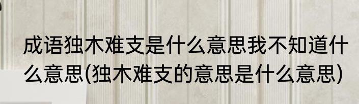 成语独木难支是什么意思我不知道什么意思(独木难支的意思是什么意思)