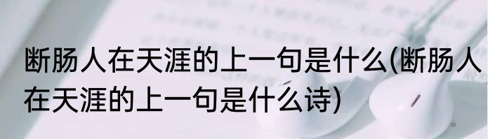 断肠人在天涯的上一句是什么(断肠人在天涯的上一句是什么诗)