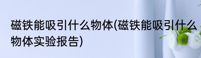磁铁能吸引什么物体(磁铁能吸引什么物体实验报告)