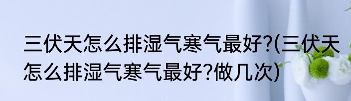 三伏天怎么排湿气寒气最好?(三伏天怎么排湿气寒气最好?做几次)