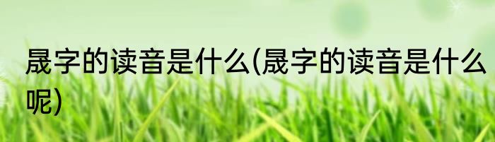 晟字的读音是什么(晟字的读音是什么呢)