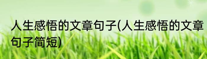 人生感悟的文章句子(人生感悟的文章句子简短)