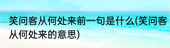 笑问客从何处来前一句是什么(笑问客从何处来的意思)