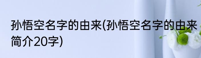 孙悟空名字的由来(孙悟空名字的由来简介20字)