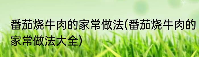 番茄烧牛肉的家常做法(番茄烧牛肉的家常做法大全)