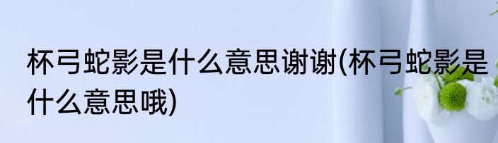 杯弓蛇影是什么意思谢谢(杯弓蛇影是什么意思哦)