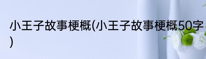 小王子故事梗概(小王子故事梗概50字)