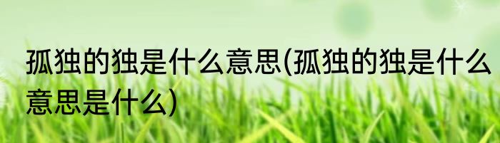 孤独的独是什么意思(孤独的独是什么意思是什么)