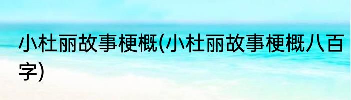 小杜丽故事梗概(小杜丽故事梗概八百字)