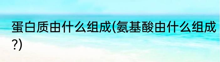 蛋白质由什么组成(氨基酸由什么组成?)