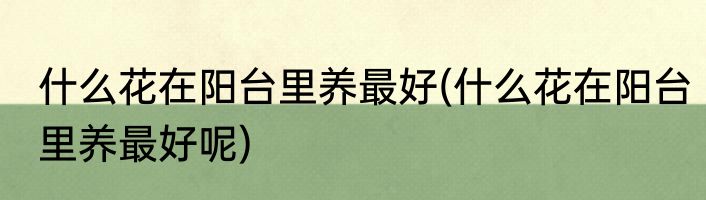 什么花在阳台里养最好(什么花在阳台里养最好呢)