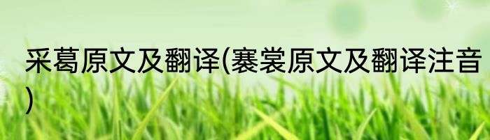 采葛原文及翻译(褰裳原文及翻译注音)