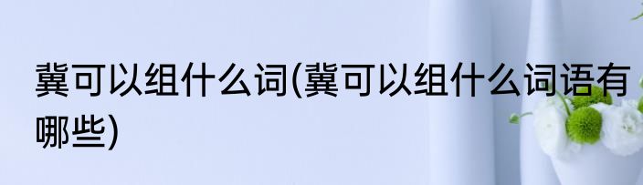 冀可以组什么词(冀可以组什么词语有哪些)
