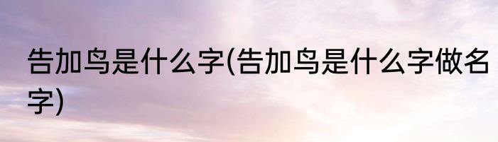 告加鸟是什么字(告加鸟是什么字做名字)