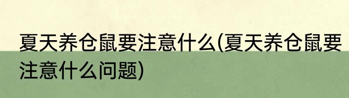 夏天养仓鼠要注意什么(夏天养仓鼠要注意什么问题)