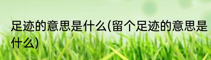 足迹的意思是什么(留个足迹的意思是什么)