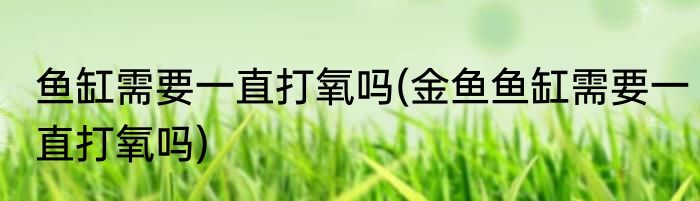 鱼缸需要一直打氧吗(金鱼鱼缸需要一直打氧吗)