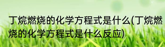 丁烷燃烧的化学方程式是什么(丁烷燃烧的化学方程式是什么反应)