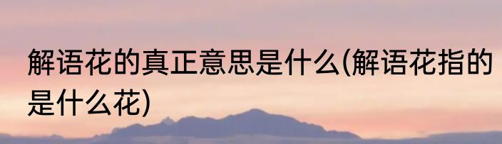 解语花的真正意思是什么(解语花指的是什么花)