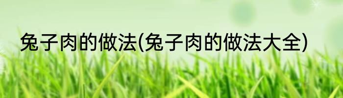 兔子肉的做法(兔子肉的做法大全)