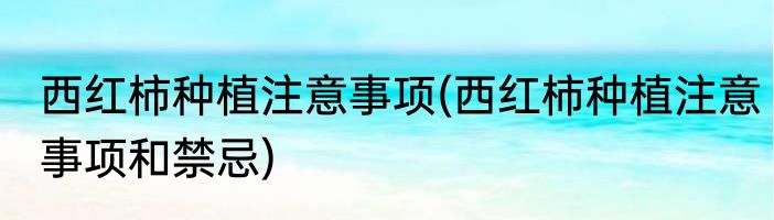 西红柿种植注意事项(西红柿种植注意事项和禁忌)