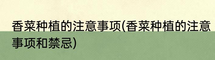 香菜种植的注意事项(香菜种植的注意事项和禁忌)