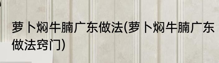 萝卜焖牛腩广东做法(萝卜焖牛腩广东做法窍门)