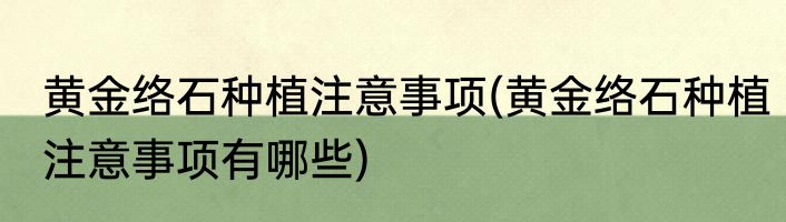 黄金络石种植注意事项(黄金络石种植注意事项有哪些)