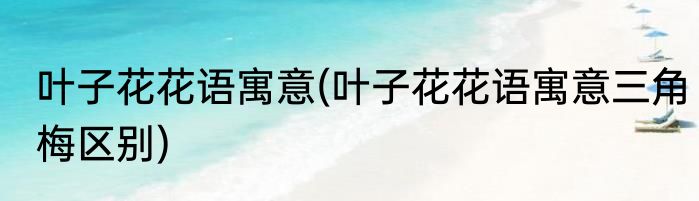 叶子花花语寓意(叶子花花语寓意三角梅区别)