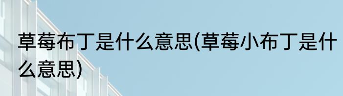 草莓布丁是什么意思(草莓小布丁是什么意思)