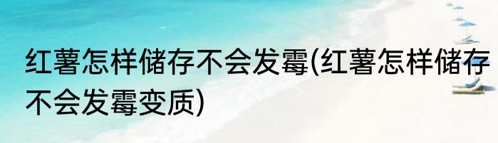 红薯怎样储存不会发霉(红薯怎样储存不会发霉变质)