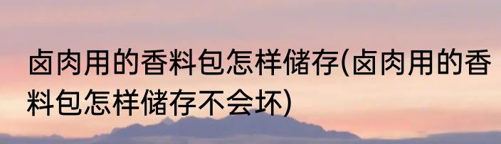卤肉用的香料包怎样储存(卤肉用的香料包怎样储存不会坏)