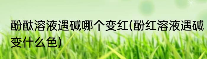 酚酞溶液遇碱哪个变红(酚红溶液遇碱变什么色)