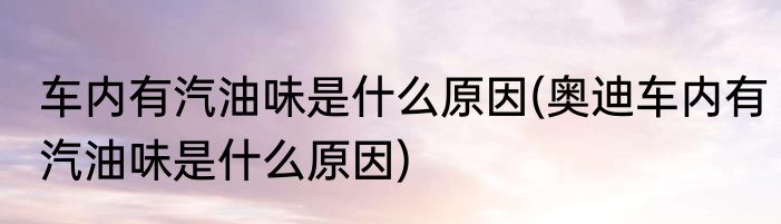 车内有汽油味是什么原因(奥迪车内有汽油味是什么原因)