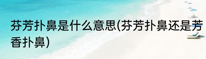 芬芳扑鼻是什么意思(芬芳扑鼻还是芳香扑鼻)