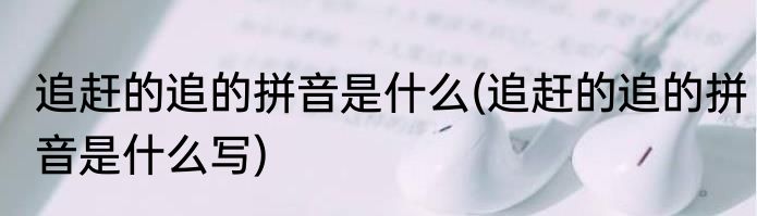 追赶的追的拼音是什么(追赶的追的拼音是什么写)